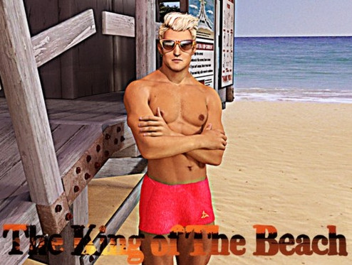 Honeygames - The King of the Beach (InProgress) Ver.0.2