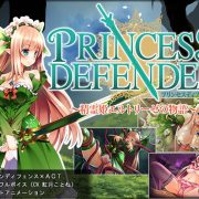 NineBirdHouse – Princess Defender