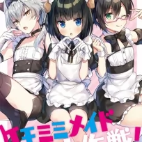 The Great Everyone Being Maids Together With Animal Ears Plan (English)