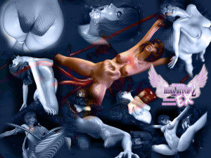 Little Ballerina – Hina Bitch 2 EX