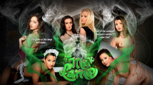 Lifeselector – The Magic Lamp