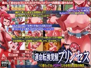 Fate Conversion Awakening Princess