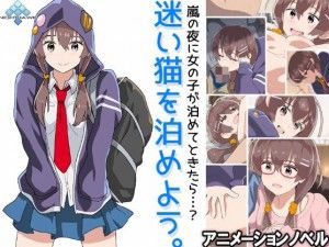 Nighthawk – Let Tomeyo stray cat / Meko – Mayoi neko o tomeyou