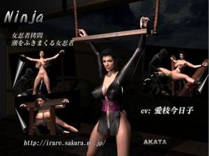 Akata – Ninja (GameRip)