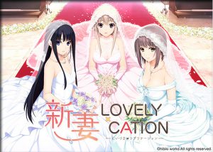 Hibiki Works – Niizuma Lovely x Cation