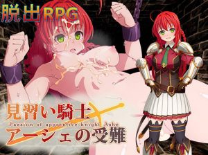 QRoss – Passion of Apprentice Knight Ashe