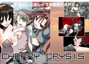 Indulgence of adult – Cherry Crysis