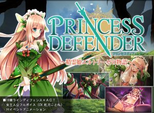 NineBirdHouse – Princess Defender