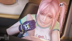 Honoka (Dead or Alive) assembly 1-3