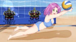 King Key Games – King of Volleyball
