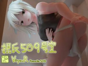 VoyeuR Room: No.509 (Eng)